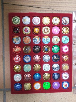 Placas de Cava Colección