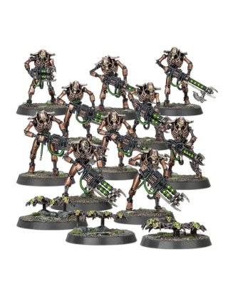 Necrones Guerreros