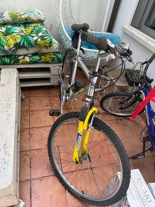 Bicicleta de montaña plateada