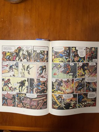 Comic Blueberry Integral