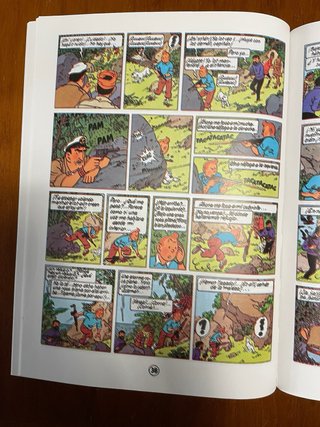 Comic Blueberry Integral