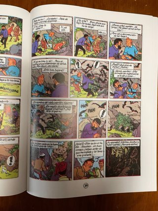 Comic Blueberry Integral