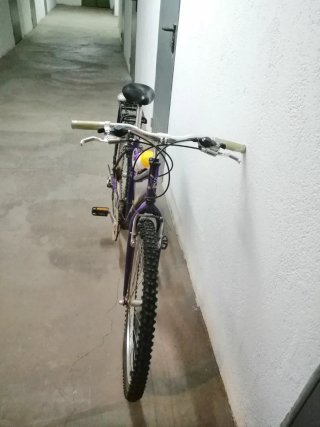 Bicicleta Montaña Sarmi Winner 21V Morada+inflador