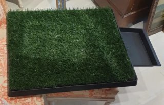 Bandeja para excrementos de perro