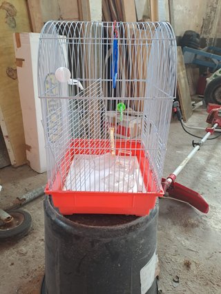 Jaula para pájaros