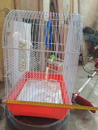 Jaula para pájaros