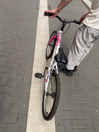 Bicicleta infantil DENBIKE 20