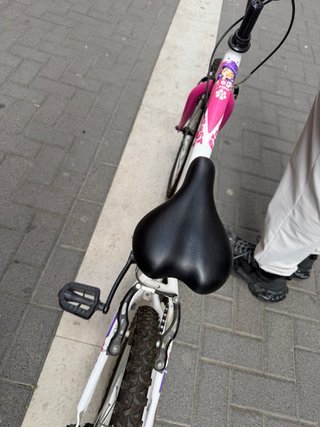 Bicicleta infantil DENBIKE 20