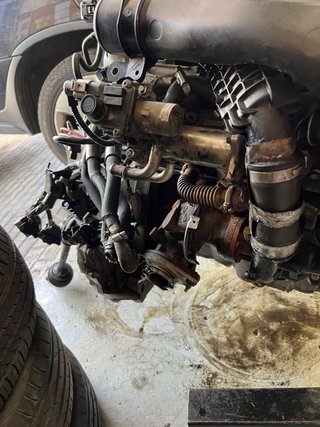 Motor K9K C612 1000019646R