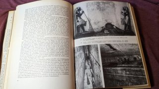 Tutankhamon tutankhamon libro Egipto