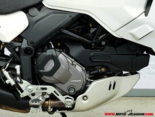 DUCATI DESERT X