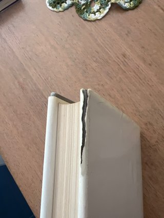 Libri d’arte Turner