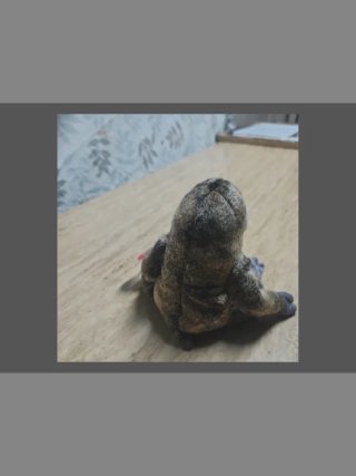 TY Beanie Baby Sloth Slowpoke