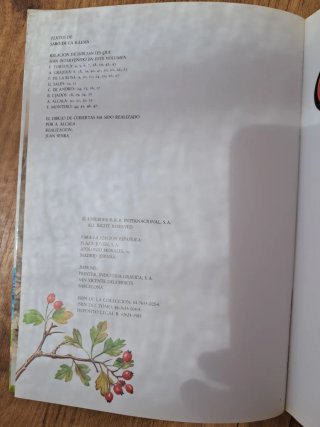Libro infantil El libro Secreto de los gnomos