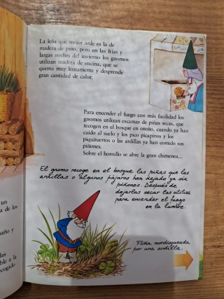 Libro infantil El libro Secreto de los gnomos