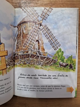 Libro infantil El libro Secreto de los gnomos