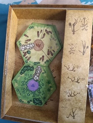 Juego de mesa A. Tensión Primeras Chispas (Descat)