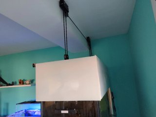Conjunto acuario marino con sump