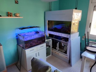 Conjunto acuario marino con sump