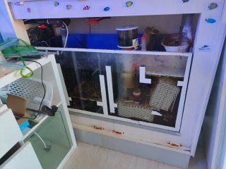 Conjunto acuario marino con sump