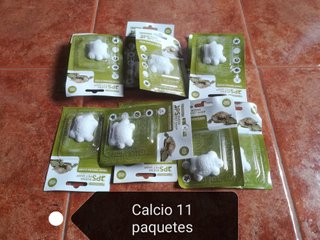 Tortuguera con accesorios