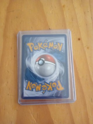 Carta Pokémon Entrenador Gerania Partidario