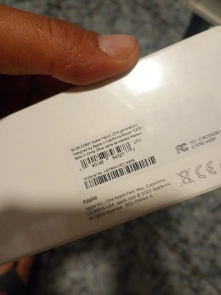 Apple Pencil (2ª gen.)