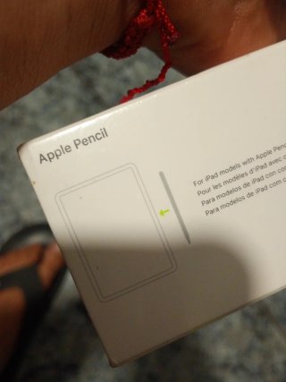 Apple Pencil (2ª gen.)