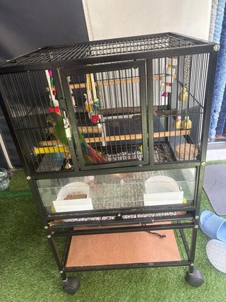 Jaula para loros y pájaros