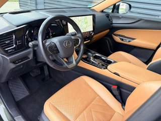 Lexus NX 2023 Luxury Line green
