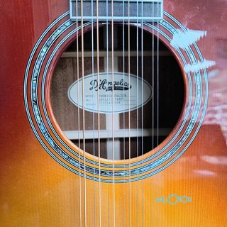 GUITARRA DE 12 CUERDAS D'ANGELICO  PREMIER FULTON