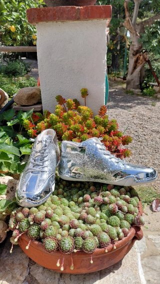 Deportivas plateadas con brillo