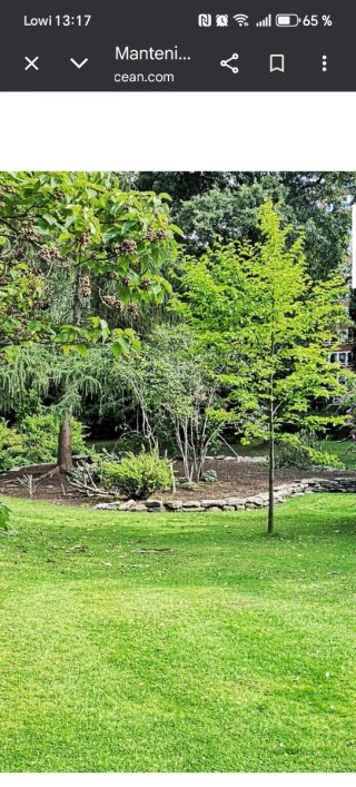 Jardines por Madrid o la sierra de Madrid