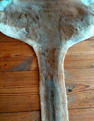 Piel de Canguro Australiano