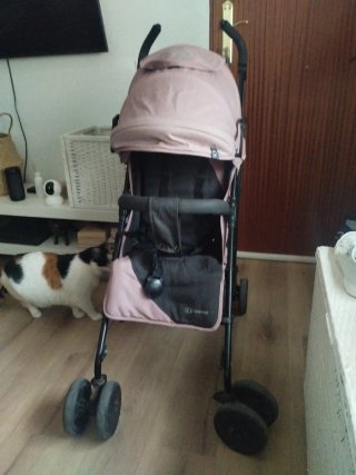 Silla de paseo rosa Kinderkraft