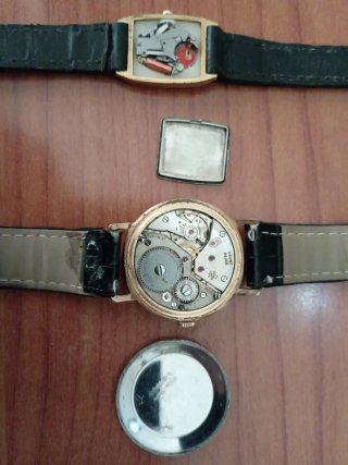 Relojes Cauny y Orient Señora