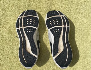 Nike zom Pegasus 39