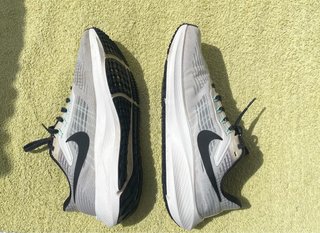 Nike zom Pegasus 39