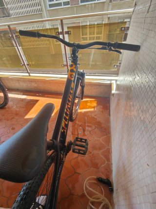 Specialized P3 Dirt Jump Bike
