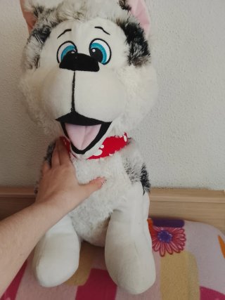 Peluche perro husky con pañuelo rojo