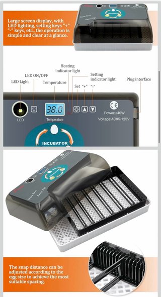 Incubadora de huevos automática