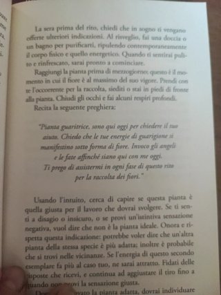 Flower therapy. I fiori degli angeli
