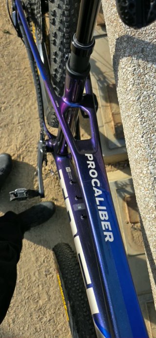 Trek Procaliber 9.5 2025