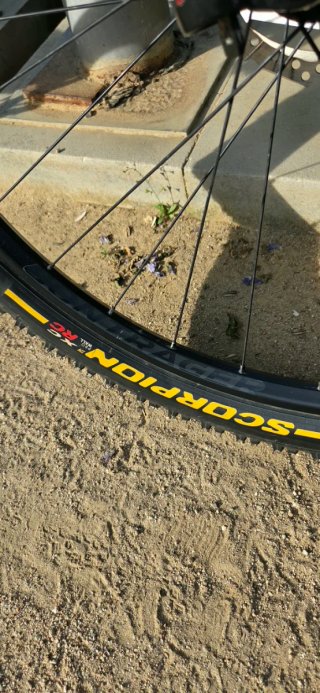 Trek Procaliber 9.5 2025