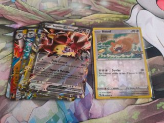 Lote de cartas Pokémon: Kangaskhan EX y Bidoof