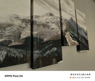 Cuadro lobos paisaje nevado
