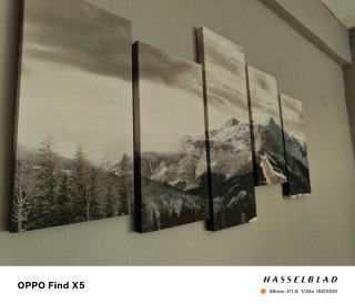 Cuadro lobos paisaje nevado