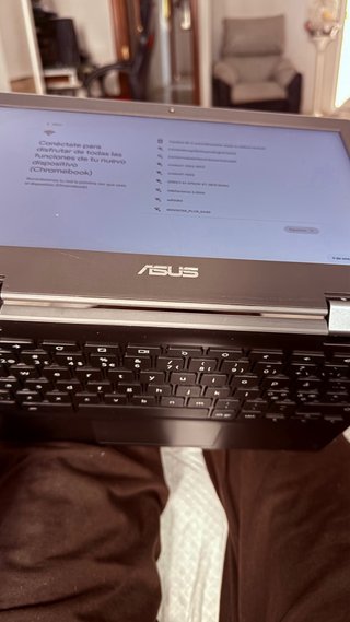 ASUS Chromebook Flip C214M Portátil