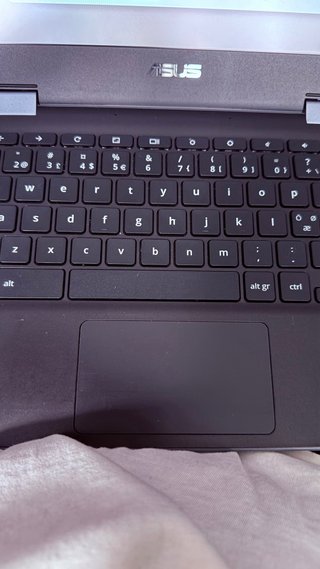ASUS Chromebook Flip C214M Portátil