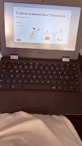 ASUS Chromebook Flip C214M Portátil